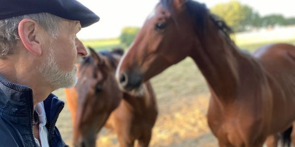A trainer and his horses