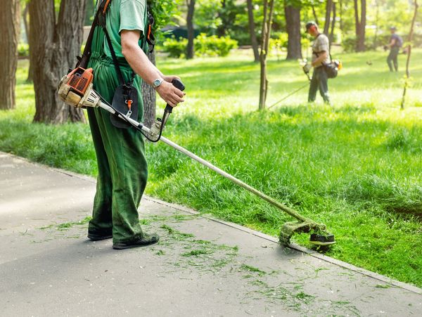 Workers trimming grass with brush cutters in a park.