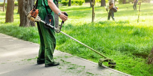 Workers trimming grass with brush cutters in a park.