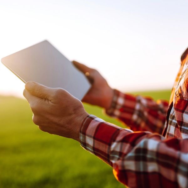 Person in a plaid shirt holding a tablet outdoors with a bright background.