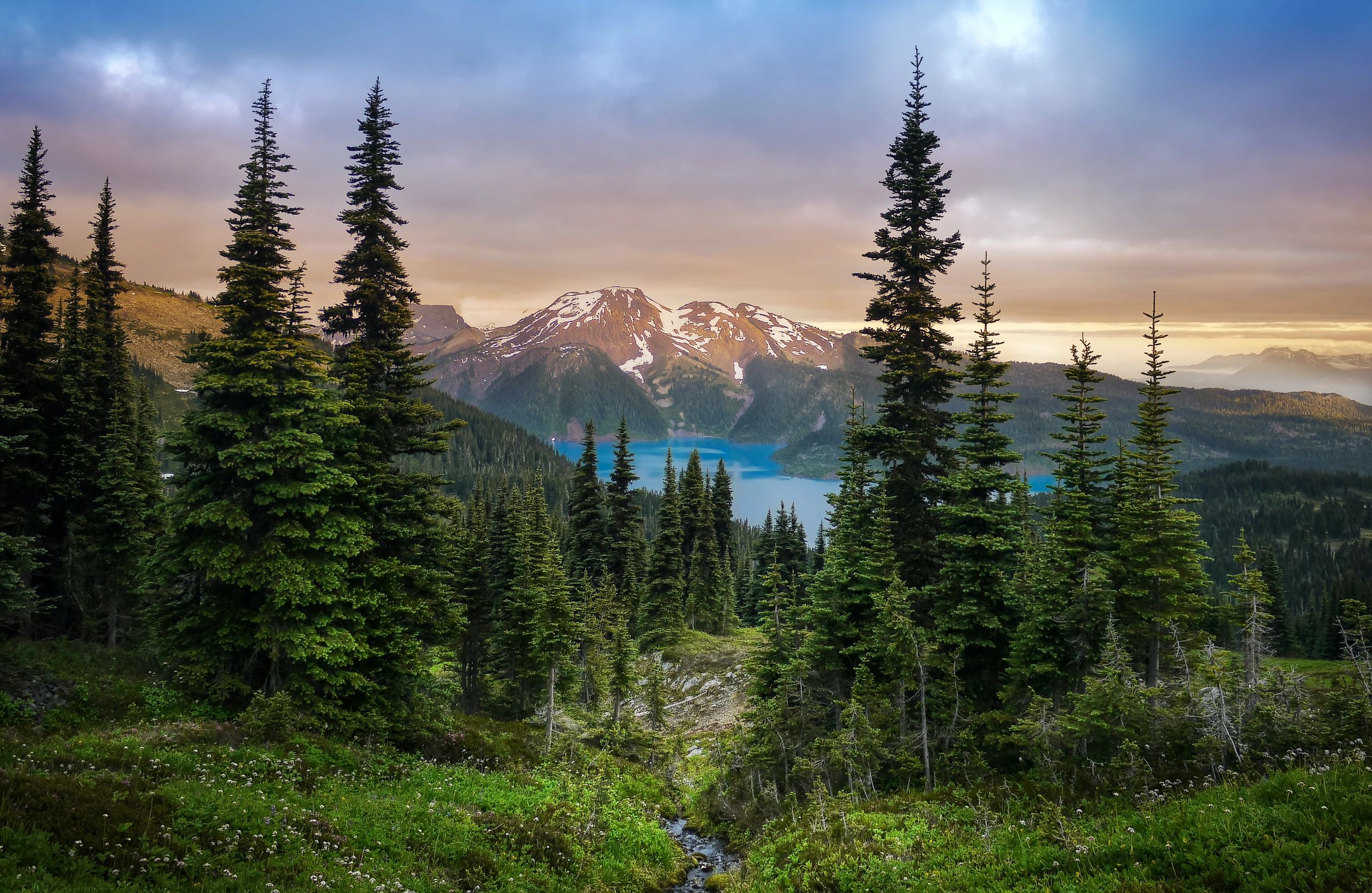 Tamarack Medical Group in Cranbrook