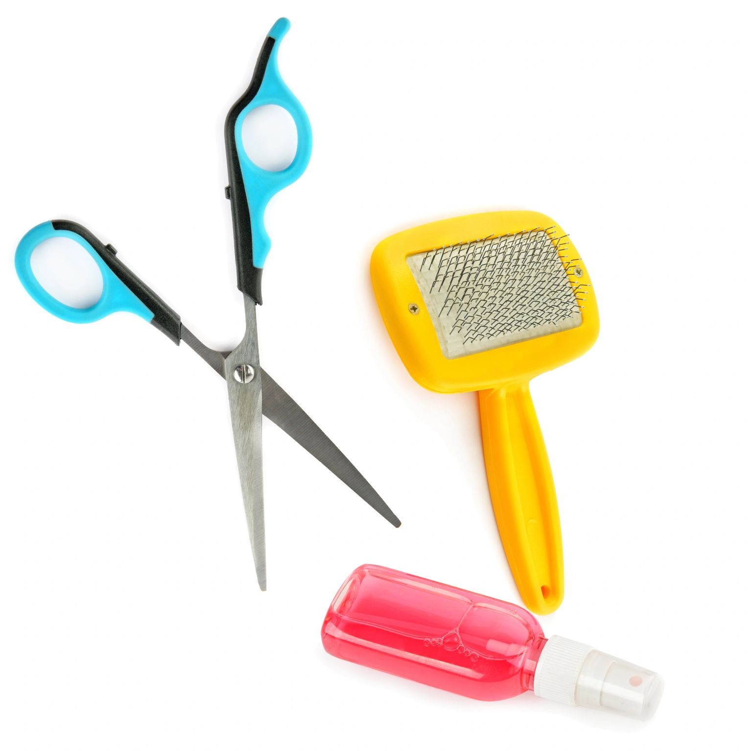 Glamour&Détendre Toilettage dog grooming listing photo