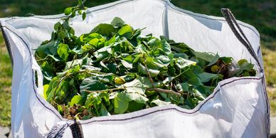 We provide a full garden clearance service along with regular maintenance plans through all seasons