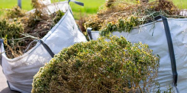 Large bags filled with harvested herbs or plants.