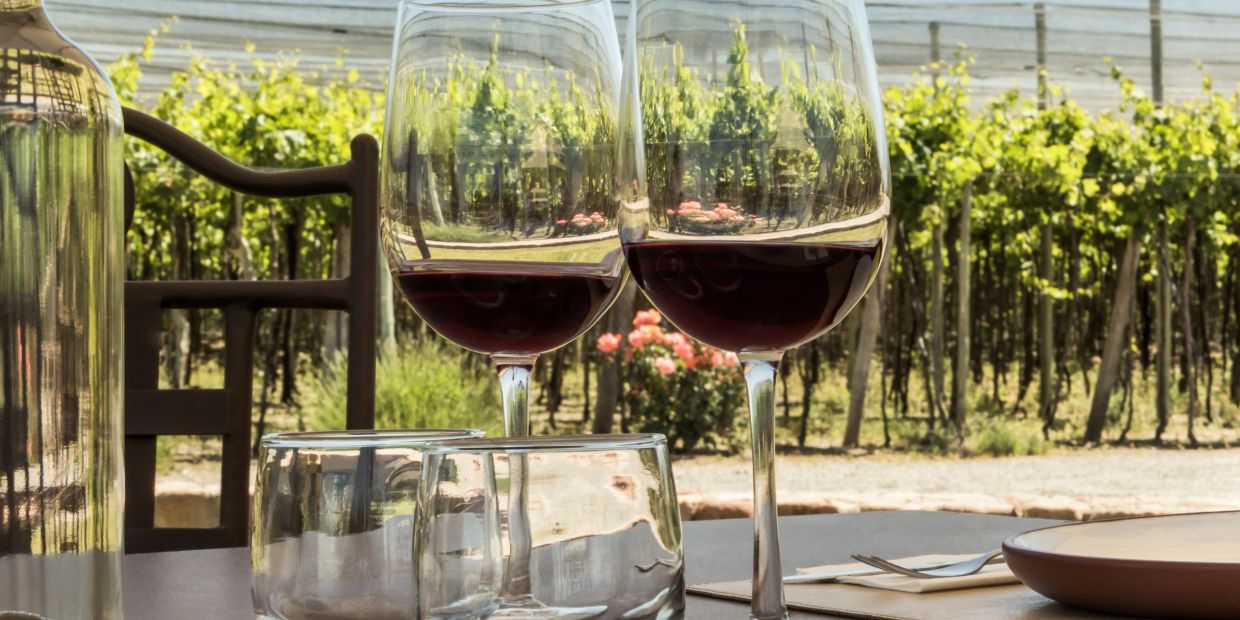 Two glasses of red wine on a table with vineyard background.