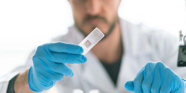 Shipping Pet DNA test kit to USA from Singapore 