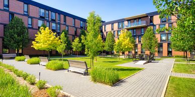 condo trees edmonton