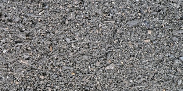 Close-up of dark, textured soil with small rocks and organic matter.