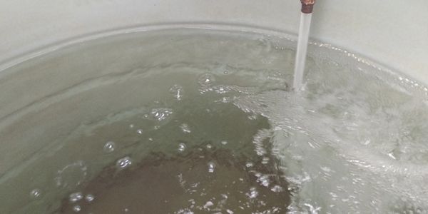 Water flowing from a tap into a basin, creating bubbles and ripples.