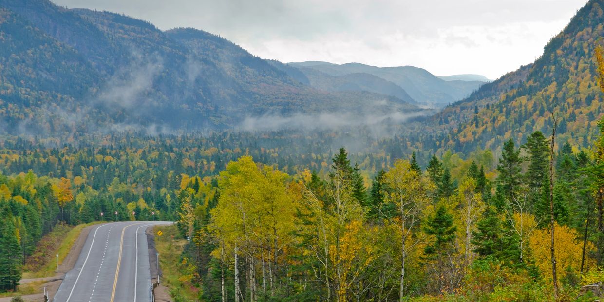 Emergency Garage Door Repairs Greely
Garage Door Installation Greely
Garage Door Services near