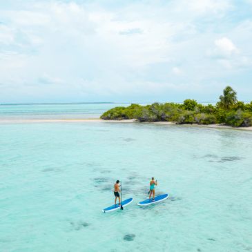 Two people paddleboarding in clear tropical waters near a small island.