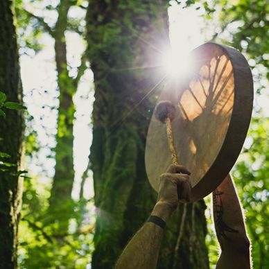Person playing a drum in a sunlit forest.