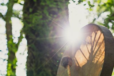 Sunlight shining through a tree and wooden wheel.