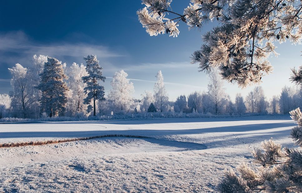 Snow-covered landscape with frosted trees under a clear blue sky.