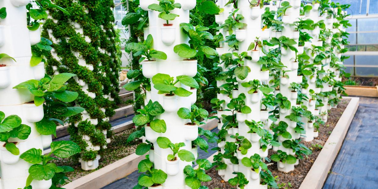 Plant Towers for upward growing