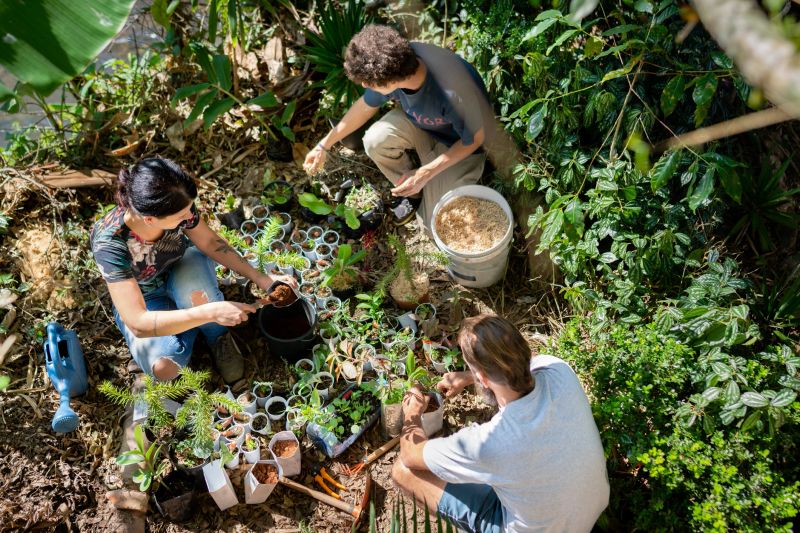 Gardening and planting seedlings