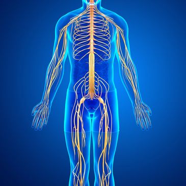 Numbness, tingling, burning, weakness, or radiating nerve symptoms.