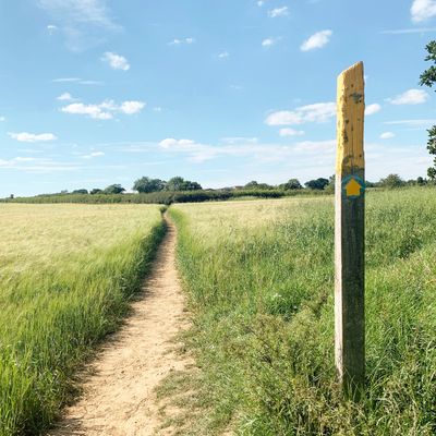 A dirt path winds through green fields under a blue sky with a wooden post marking the trail.