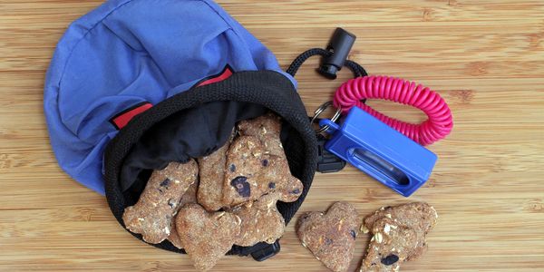 Dog treats spilling from a blue pouch with a red wrist leash on a wooden surface.