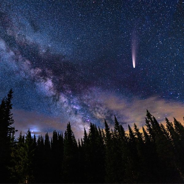 Night sky with Milky Way and a comet over pine trees.