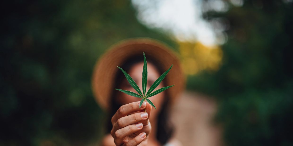 Greg AZ Breland Owner and Curator for Organic Fusion's Retail Cannabis Dispensary & Delivery Service