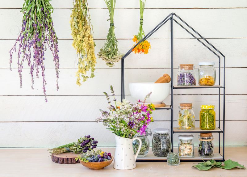 Collection of various herbal medicinal plants dry in glass jars and drying on wall. Modern shelf with jars mortar and pestle and bouquet of herbal wildflowers in ceramic jug. Retro vintage filter.