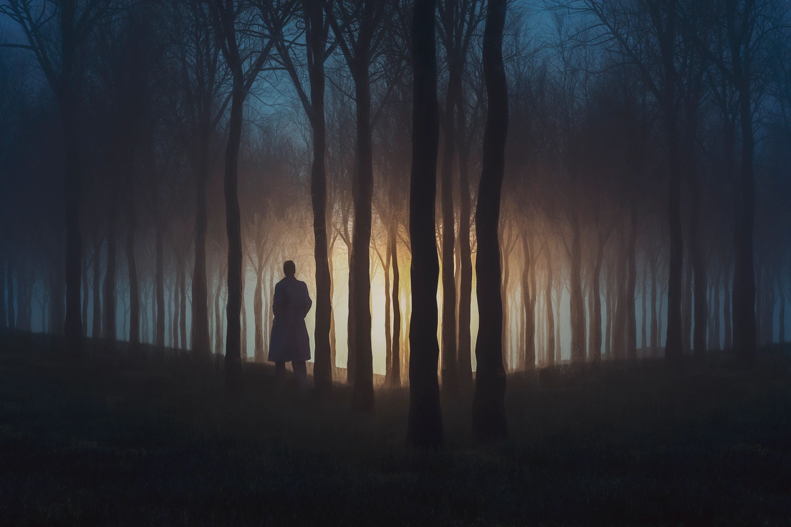 Silhouette of a person in a dark forest with glowing light.