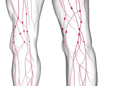 Santé veineuse : comprendre, s’équiper et être accompagné