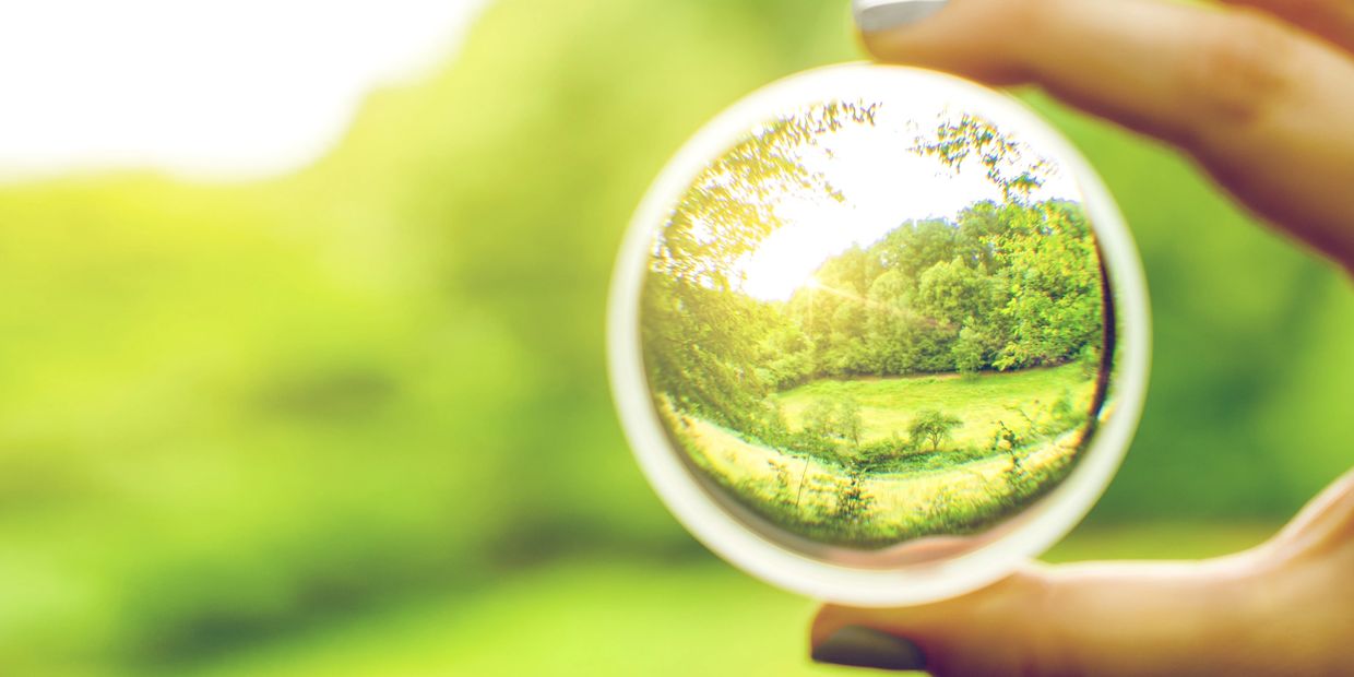 a lens being held up by, showing incredible green natural detail whilst the background is blurred