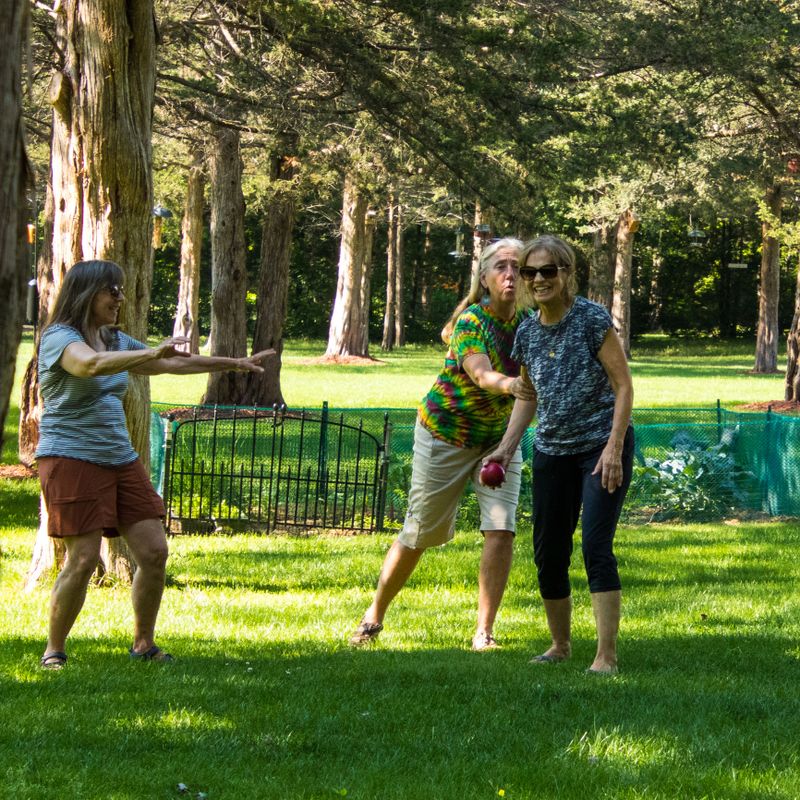 A backyard game under the trees among friends