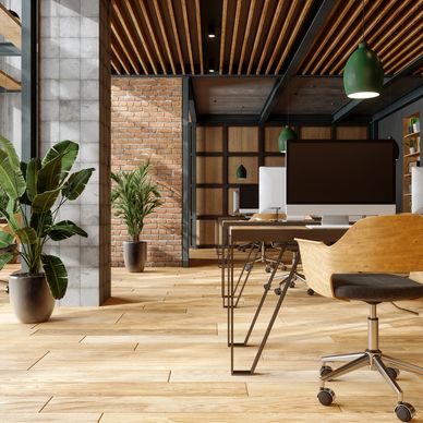 Modern office space with wooden furniture and green plants.
