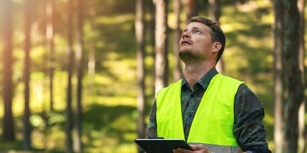Man in a high-visibility vest holding a tablet, looking up in a forest.
