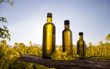 Three olive oil bottles on a wooden plank amidst a blooming yellow flower field.
