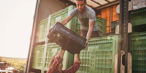 Two workers unloading crates from a truck in a sunlit outdoor setting.