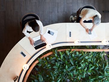 Two people working at a curved desk with laptops and tablets, overlooking indoor plants.