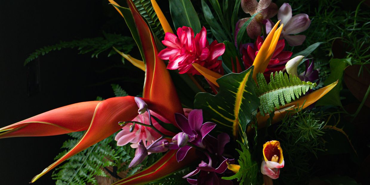 tropical flower Boquete