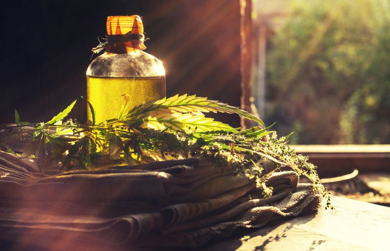 Hemp products concept. Bottle of oil, textile and cannabis plant near the window