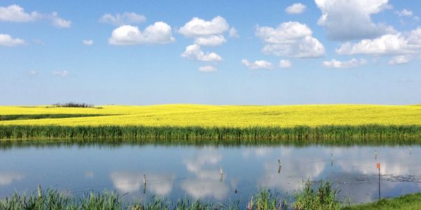 A serene landscape featuring mountains, a lake, and a clear blue sky with fluffy clouds.