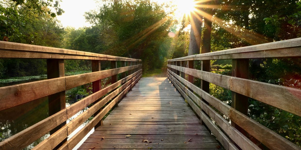 Sunlight shines over a wooden bridge surrounded by green trees.