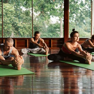 Group of people stretching on yoga mats in a serene studio.