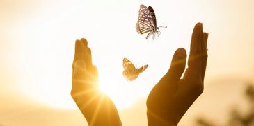 Two butterflies fly between open hands at sunset with sun rays.