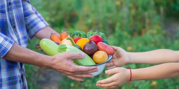Hands exchanging a bowl of fresh vegetables outdoors.