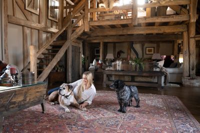 Professional support for conflict between household dogs in West Sussex