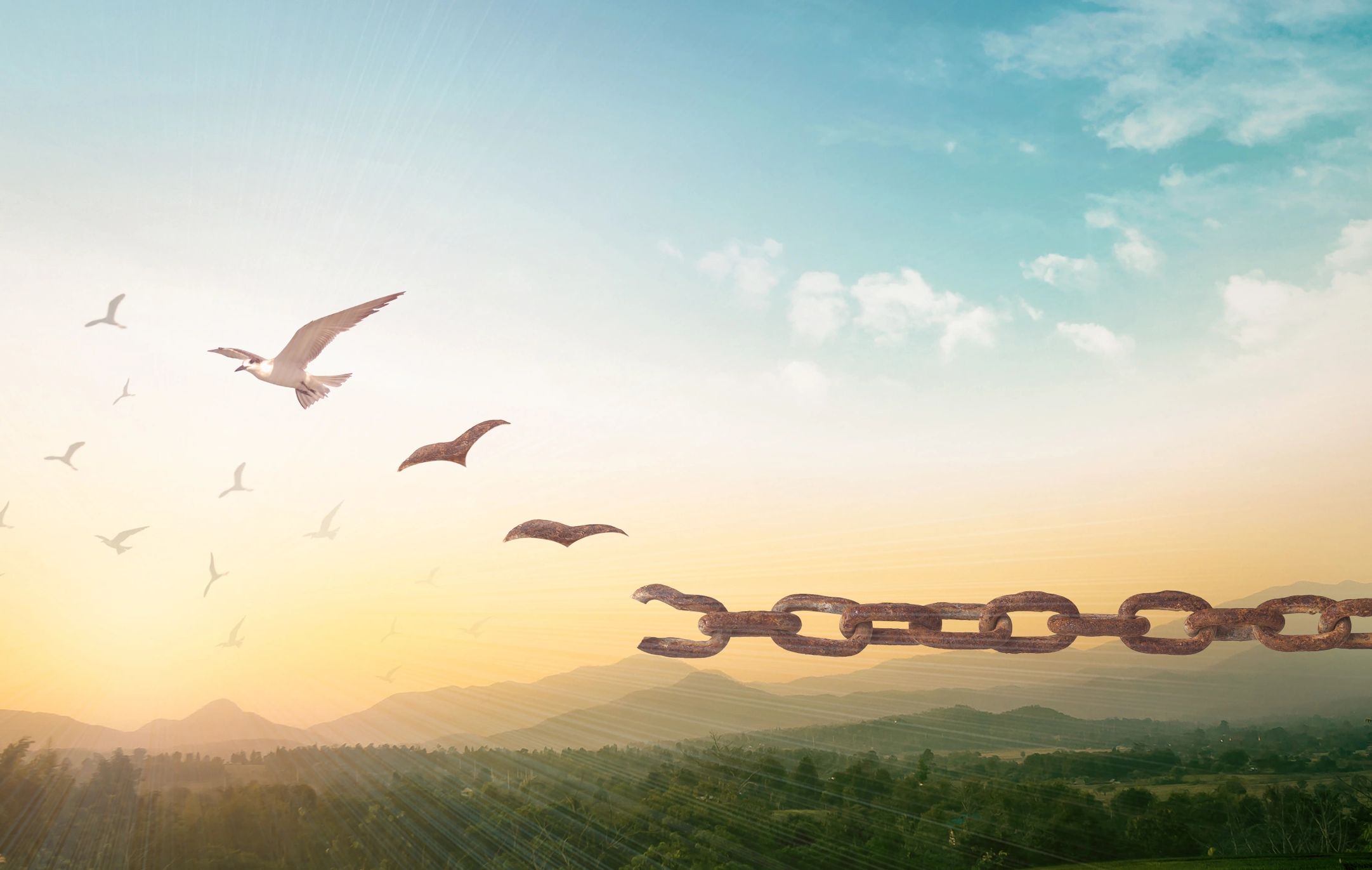 Find Freedom in Christian Life coaching