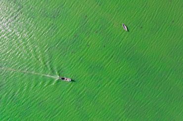Two boats on vibrant green water, one moving away.