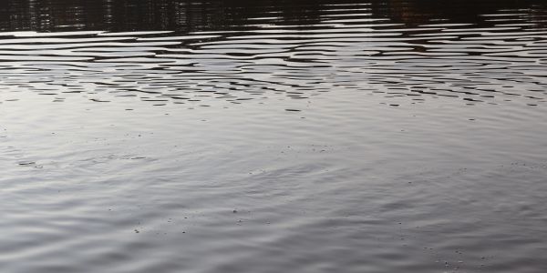 Calm, rippling water surface.