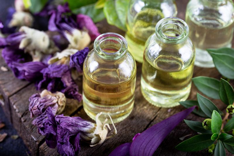A bottle of common mallow essential oil with dried flowers. Dried herbs with essential oils for aromatherapy treatment.