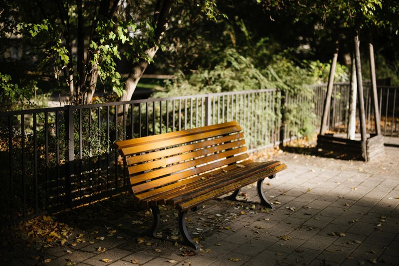 Photo of an empty bench on an early morning sunrise sunlight