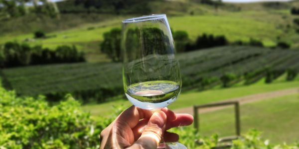 Close picture of a glass and water