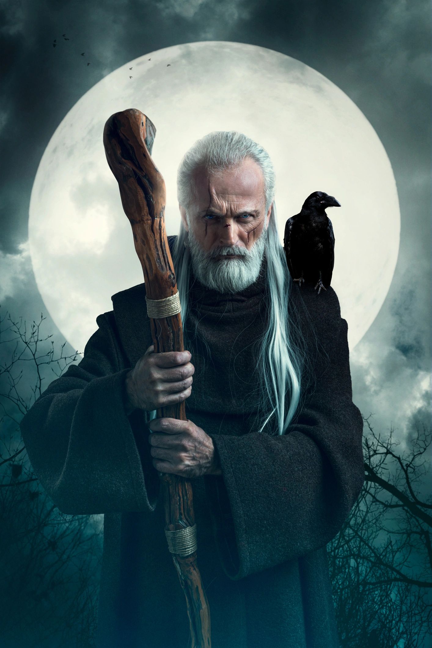 A stern looking wizard in front of a moon, staff in hand, crow on his shoulder giving Odin vibes.